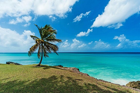 Barbados Barbados